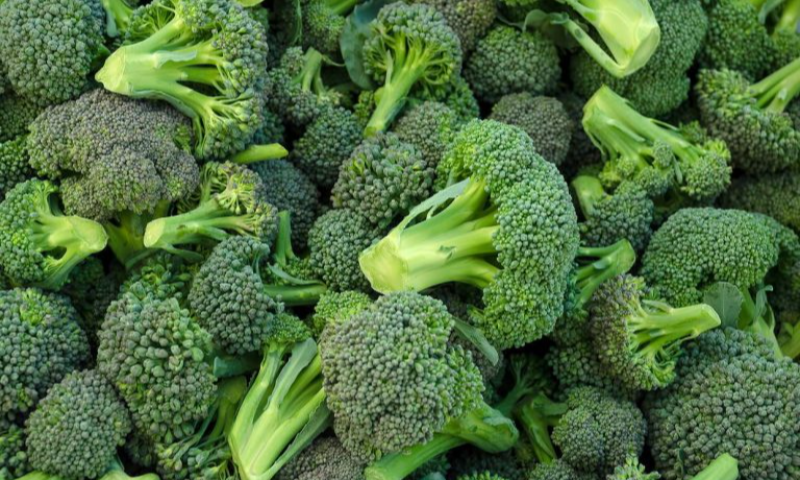 Брокколи (Brassica oleracea var. italica) нь байцааны овогт (Brassicaceae овог, Brassica төрөл) хамаарах идэж болох ногоон ургамал юм. 