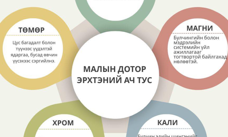 МАЛЫН ДОТОР ЭРХТНИЙ АЧ ТУС 