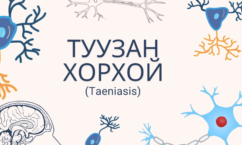 Туузан хорхой нь хүний болон амьтны гэдсэнд шимэгчлэн амьдардаг паразит хорхой бөгөөд ихэвчлэн үхэр, гахайн түүхий болон дутуу болгосон махаар дамжин халдварладаг. Туузан хорхойн халдвар нь анхандаа тодорхой шинж тэмдэггүй байж болох ч хугацаа өнгөрөх тусам хэвлийгээр эвгүй оргих, хоолны дуршил өөрчлөгдөх, жин аажмаар буурах, гэдэс дүүрэх, дотор муухайрах зэрэг зовуурь илэрч болно. Зарим тохиолдолд өтгөнөөр туузан хорхойн хэсэг гарч ирэх нь анзаарагддаг бөгөөд энэ үед халдвар аль хэдийн тогтсон байх магадлалтай. Эрүүл ахуйн шаардлага хангаагүй орчинд хадгалсан, ил задгай худалдаалсан маханд паразитын авгалдай байх эрсдэл өндөр байдаг. Хүний биед орсон паразит нь гэдсэнд бэхлэгдэн өсөж, удаан хугацаанд шим тэжээлээр хооллодог бөгөөд зарим тохиолдолд олон метр хүртэл урттай болох боломжтой. Халдварын эхний үед шинж тэмдэг сул илэрдэг тул иргэд төдийлөн анзаарахгүй байх нь элбэг. 